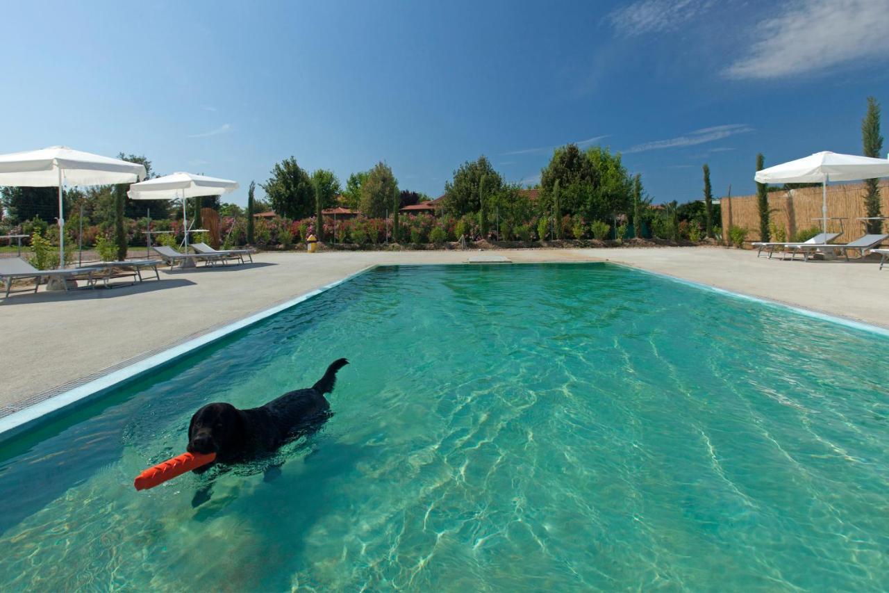 Aparthotel Fattoria Maremmana à Marina di Grosseto Extérieur photo